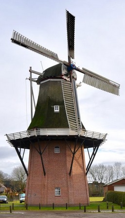 Woldzigt